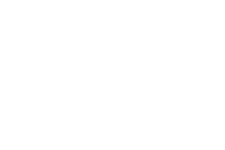 Northern Lights Hunter